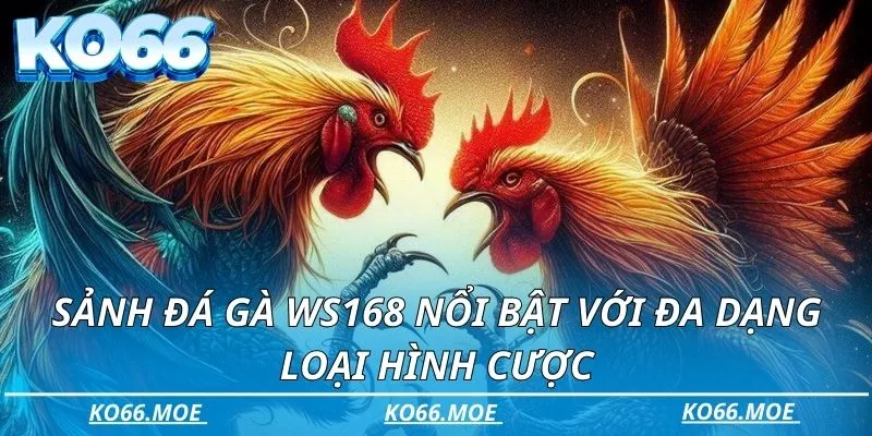 Sảnh đá gà WS168 nổi bật với đa dạng loại hình cược