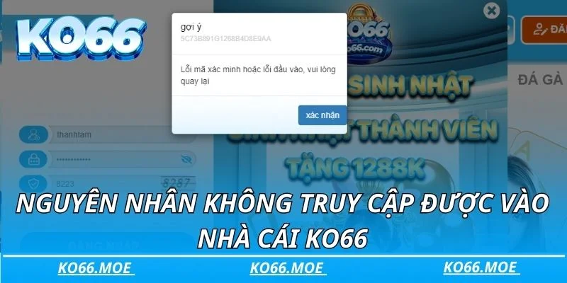 Nguyên nhân không truy cập được vào nhà cái KO66