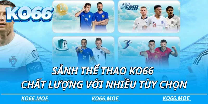 Sảnh thể thao KO66 chất lượng với nhiều tùy chọn